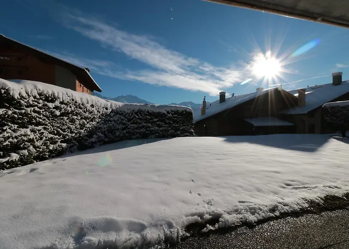 Farfadet 109 * Вербье